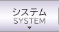 システム